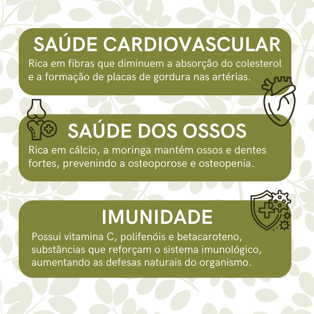 Moringa em cápsulas