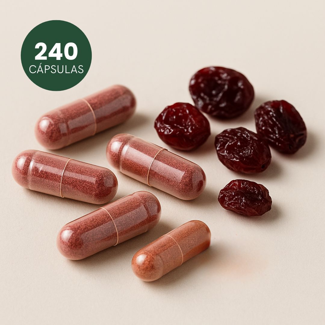 Cranberry Desidratado