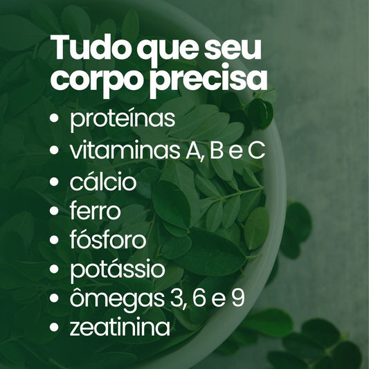 Moringa - 100% pura