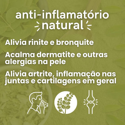 Moringa - 100% pura
