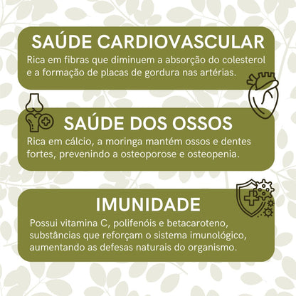 Moringa - 100% pura