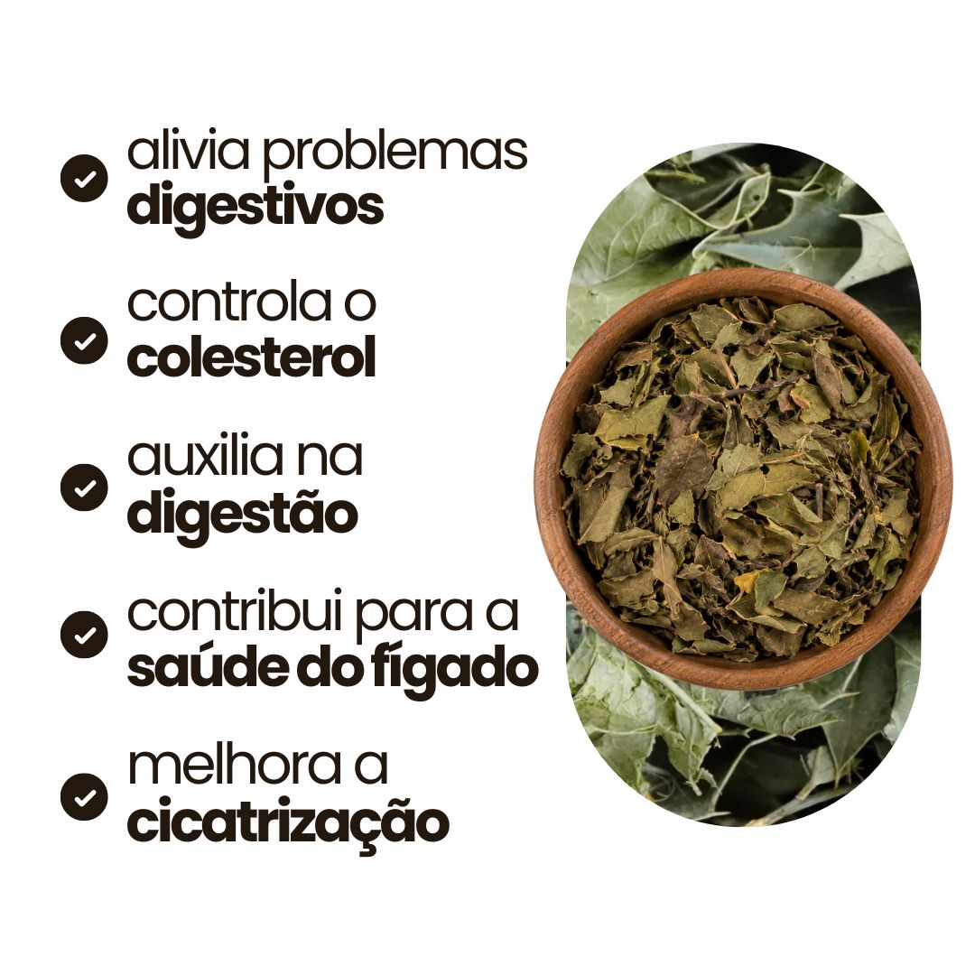 Espinheira Santa
